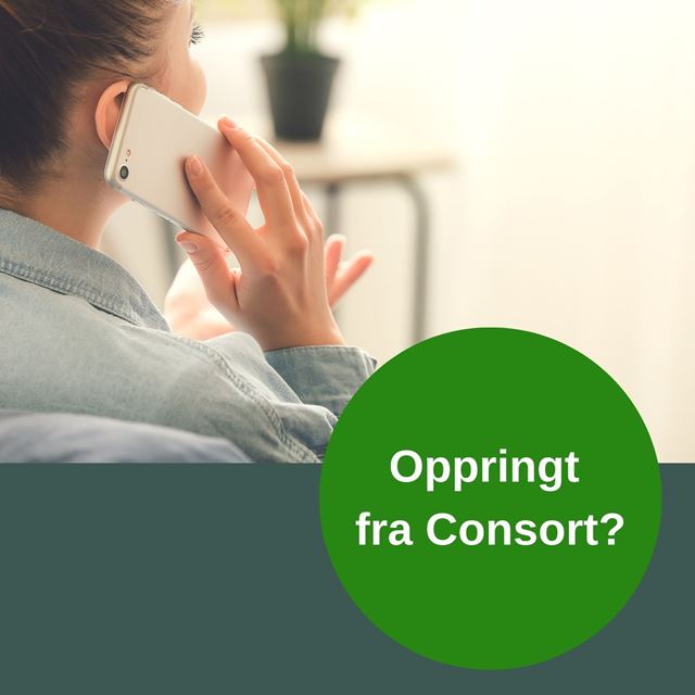 Bilde av dame som snakker i telefon
